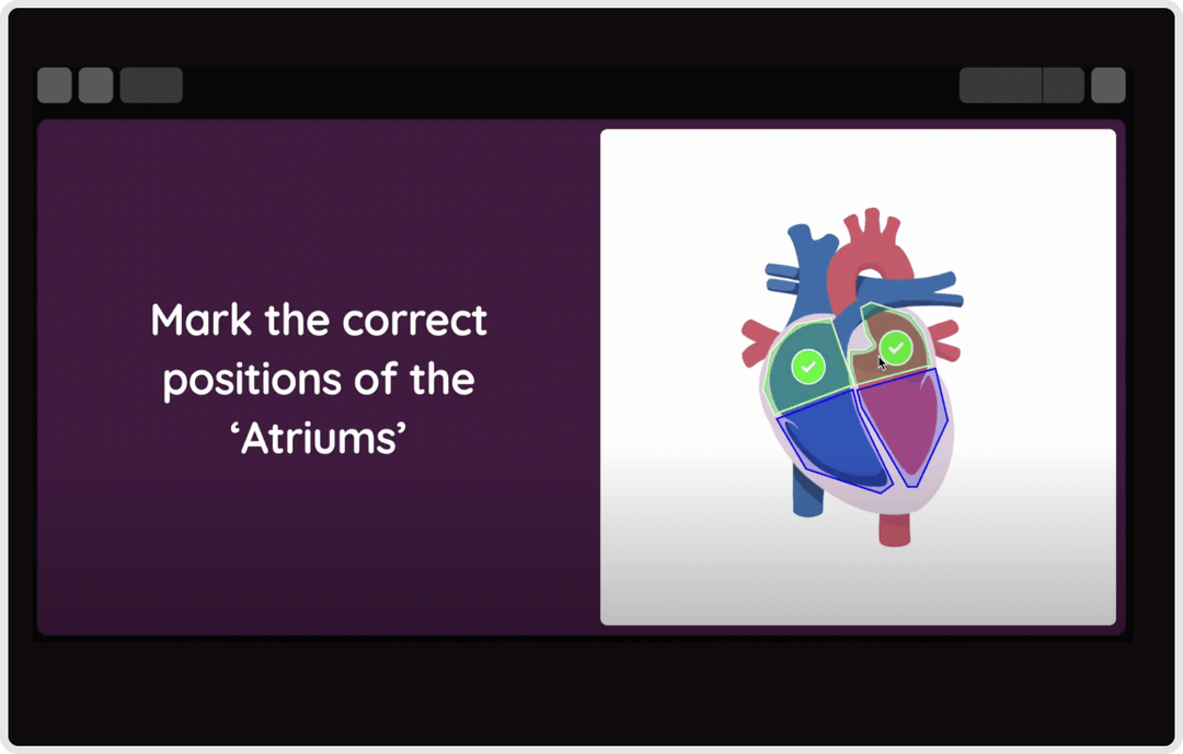Create Interactive Hotspot Questions on Quizizz